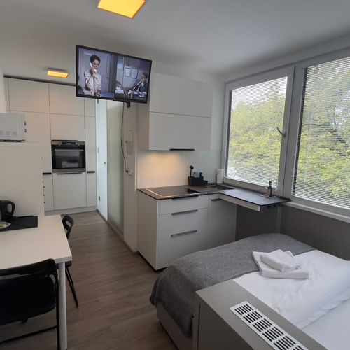 Apartament cu duș cu chicinetă proprie cu 1 camera pentru 2 pers.