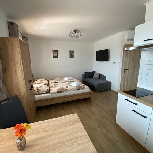 Apartament studio cu duș cu 1 camera pentru 2 pers. (se poate solicita pat suplimentar)
