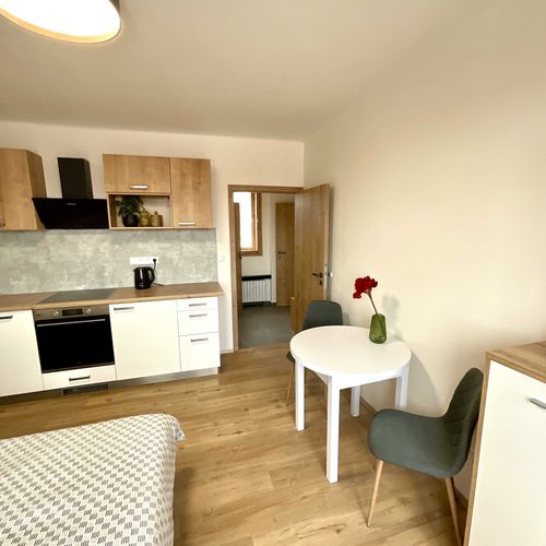 Apartament cu balcon cu 1 camera pentru 2 pers.