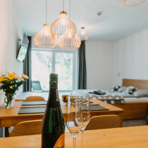 Apartament 2-osobowy z prysznicem z aneksem kuchennym (możliwa dostawka)