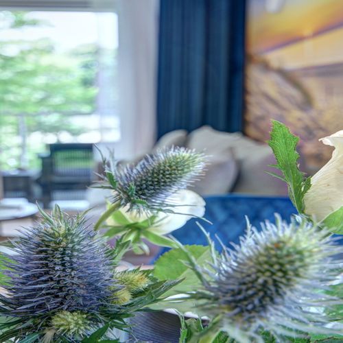 Apartman pro 4 os. se 2 ložnicemi s výhledem na park 