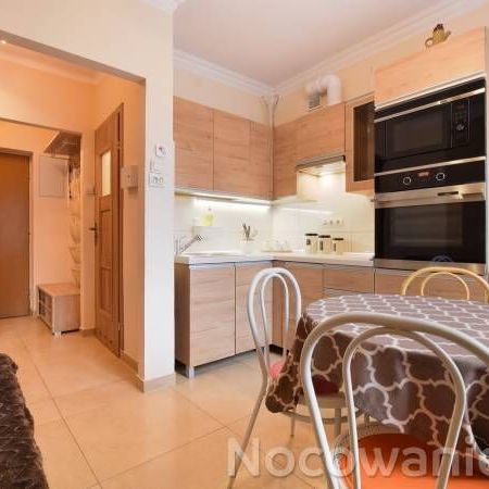 Apartament 4-osobowy z 1 pomieszczeniem sypialnianym