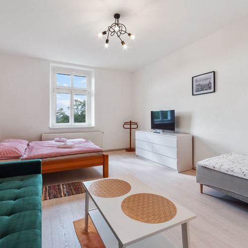 Apartament king cu chicinetă proprie cu 1 camera pentru 5 pers.