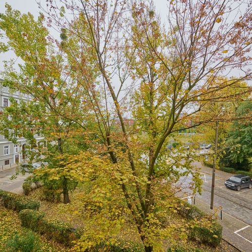 Apartament întreaga unitate cu duș cu 1 camera pentru 4 pers.