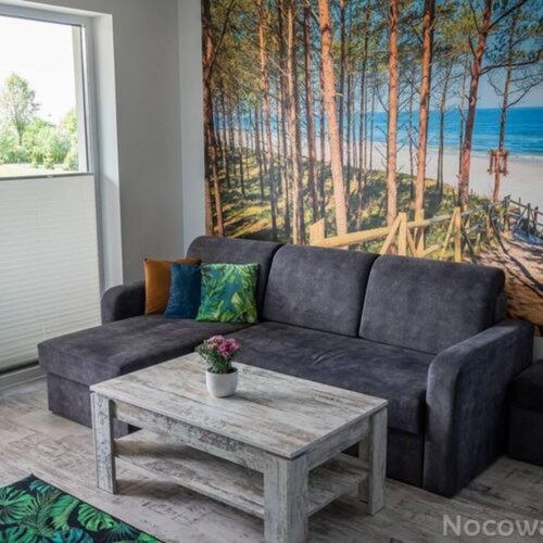 Apartament 4-osobowy z 2 pomieszczeniami sypialnianymi (możliwa dostawka)