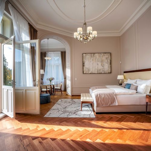 Apartament prezidential cu 1 camera pentru 2 pers. (se poate solicita pat suplimentar)