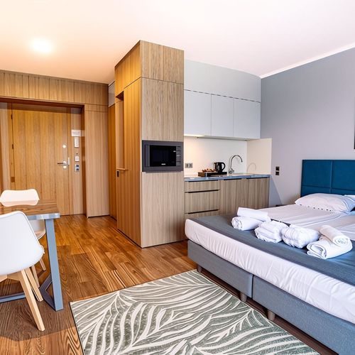 Apartament 3-osobowy Studio z 1 pomieszczeniem sypialnianym