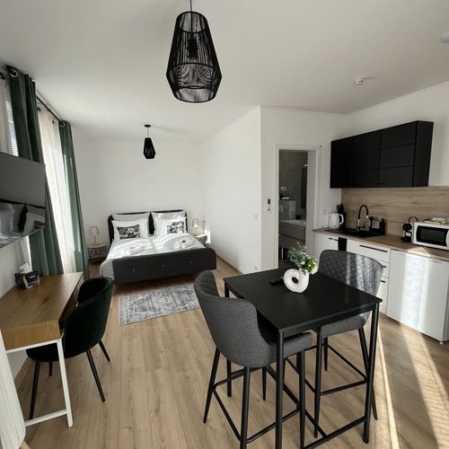 Apartament business la etaj cu 1 camera pentru 2 pers.