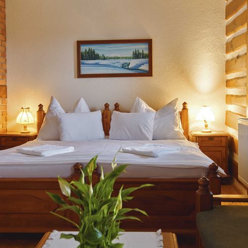 Camera dubla cu duș (se poate solicita pat suplimentar)