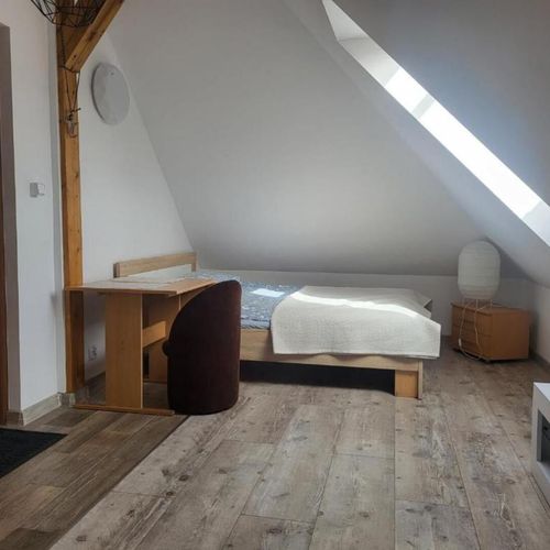 Apartament cu 1 camera pentru 3 pers.