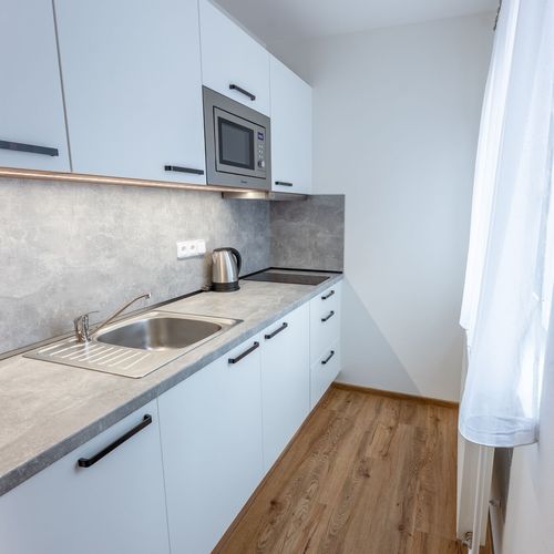 Apartman se sprchou s vlastní kuchyňkou pro 4 os. s 1 ložnicí