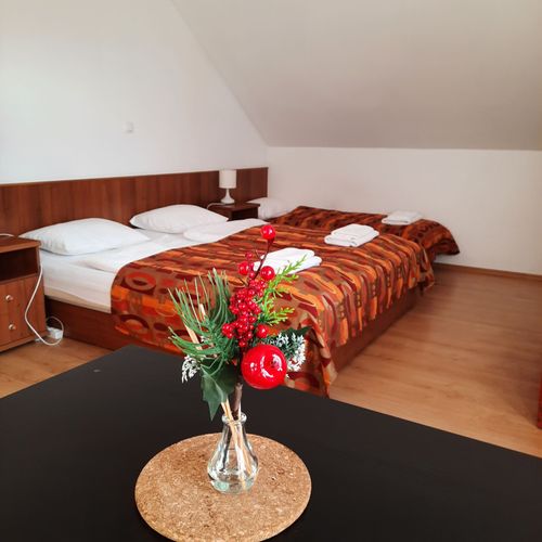 Apartament standard studio cu 1 camera pentru 2 pers. (se poate solicita pat suplimentar)