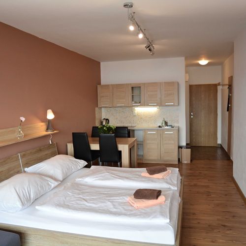Standard Studio Apartman s manželskou postelí s 1 ložnicí (s možností přistýlky)