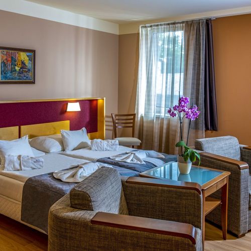 Camera twin premium accesibil(ă) persoanelor cu dizabilități