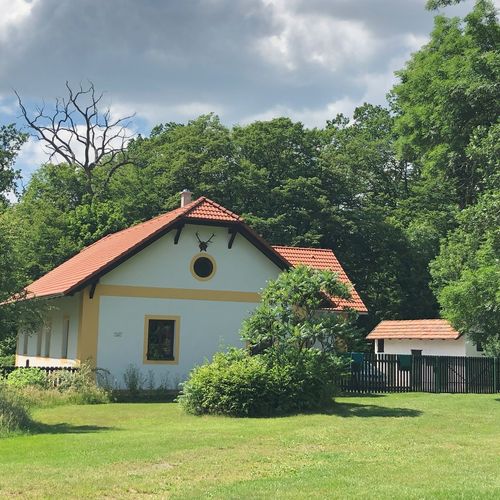 Casă de vacanță întreaga unitate cu vedere spre pădure pentru 7 pers. (se inchirieaza doar integral) (se poate solicita pat suplimentar)