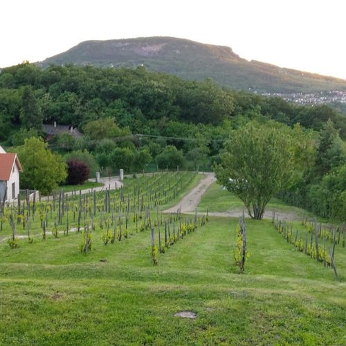 Cały dom 6-osobowy z panoramą z widokiem na jezioro