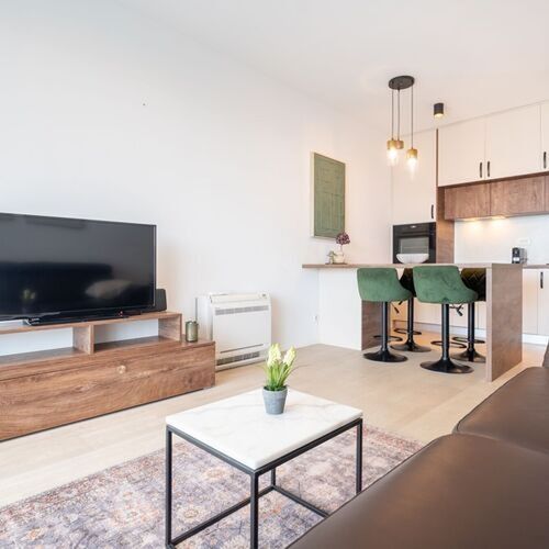 Apartament confort cu aer condiționat cu 1 camera pentru 2 pers.