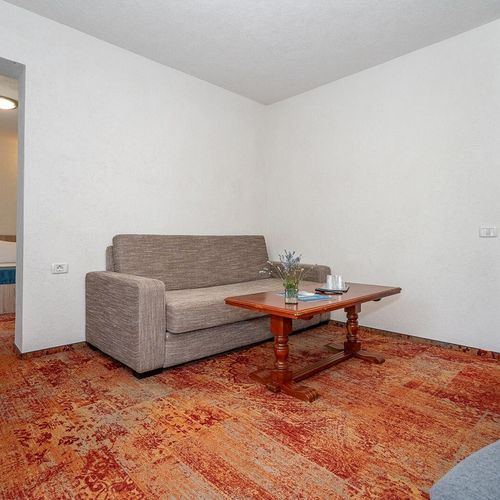 Apartament - Hotel Irina