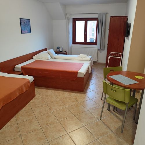 Apartament studio la mansardă cu 1 camera pentru 3 pers. (se poate solicita pat suplimentar)