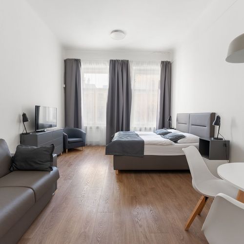 Deluxe Apartman s manželskou postelí s 1 ložnicí (s možností přistýlky)