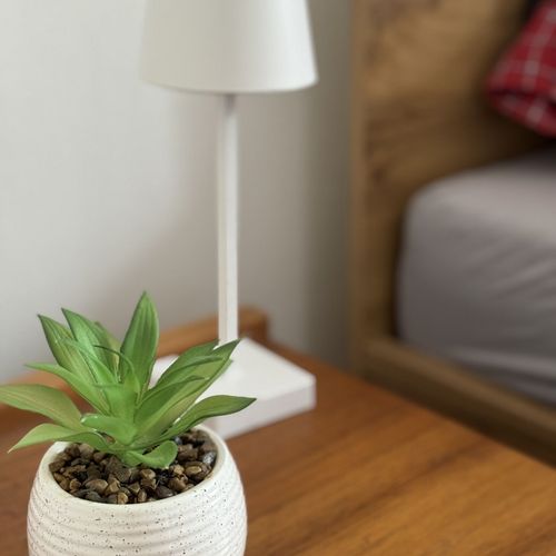 Apartman (jako celek) pro 4 os. celý Dům 