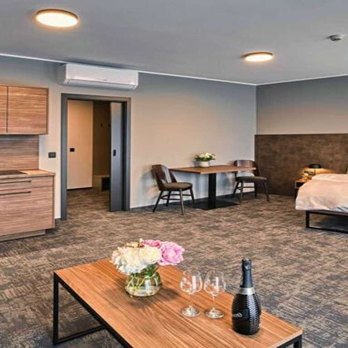 Apartament 2-osobowy Deluxe z balkonem z 1 pomieszczeniem sypialnianym (możliwa dostawka)