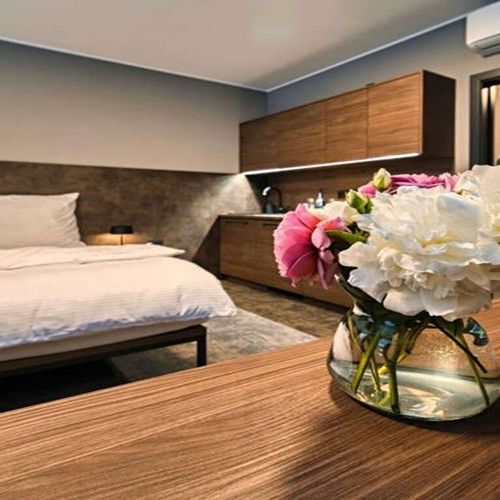 Apartament 2-osobowy Standard z 1 pomieszczeniem sypialnianym