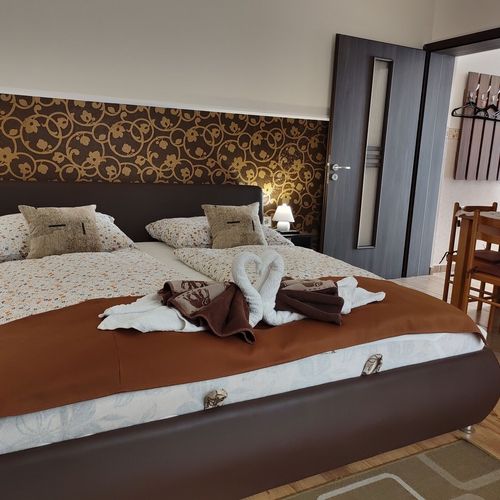Apartament deluxe familial(ă) cu 2 camere pentru 4 pers.