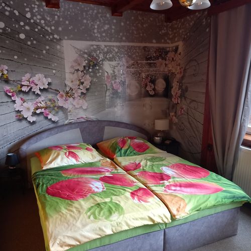 Apartament la parter cu bucătărie proprie pentru 3 pers. (se inchirieaza doar integral)