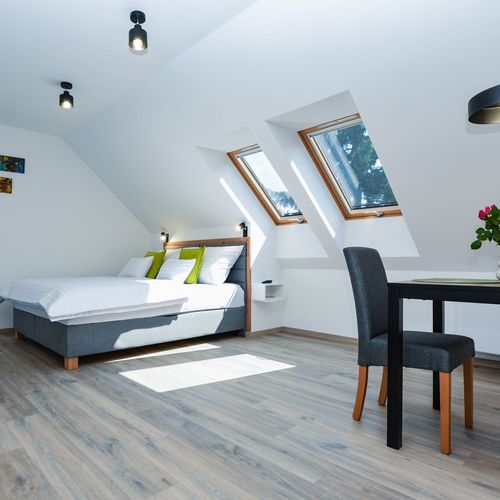 Apartament studio la mansardă cu 1 camera pentru 2 pers.