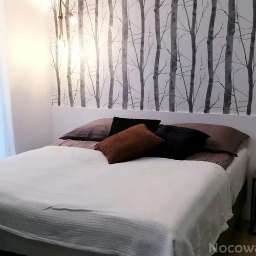 Apartament cu 1 camera pentru 2 pers.