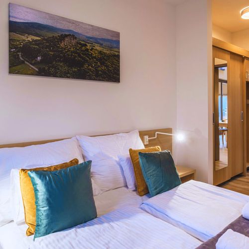 Standard Pokoj s klimatizací s manželskou postelí