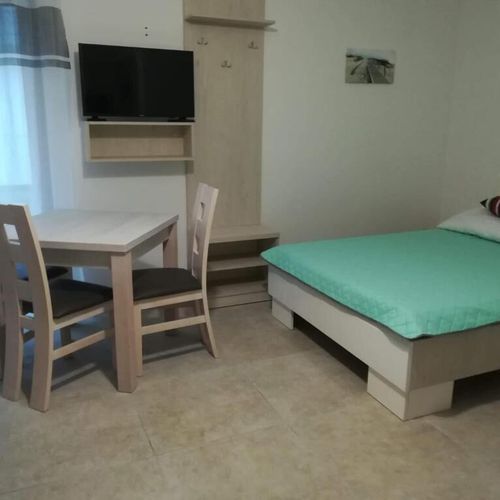 Camera tripla la parter cu vedere spre grădină