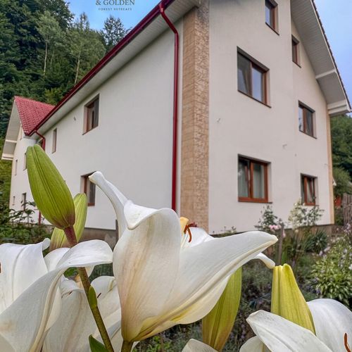 Casă de vacanță gold family pentru 14 pers. (se inchirieaza doar integral)