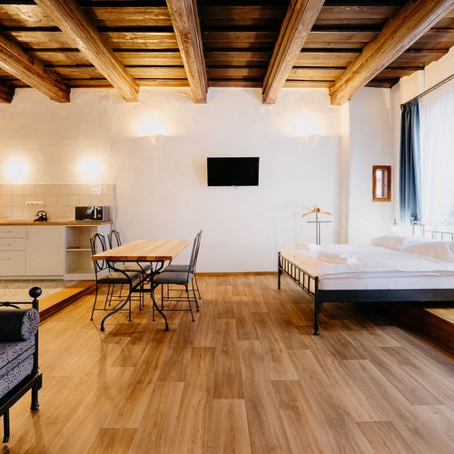 Apartament standard cu 1 camera pentru 2 pers. (se poate solicita pat suplimentar)