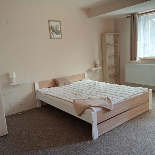 Standard Pokoj s balkónem s manželskou postelí