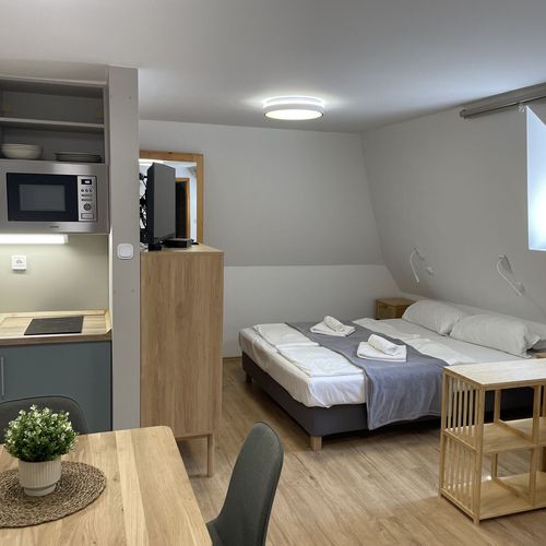 Apartament family cu bucătărie proprie cu 1 camera pentru 3 pers.