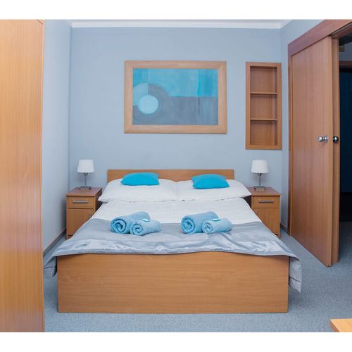 Apartament 2-osobowy Studio z 1 pomieszczeniem sypialnianym (możliwa dostawka)