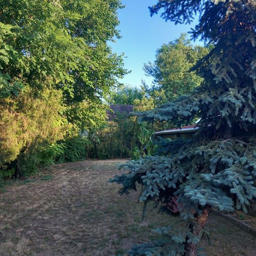 Casă de vacanță romantică la parter pentru 2 pers. (se inchirieaza doar integral)