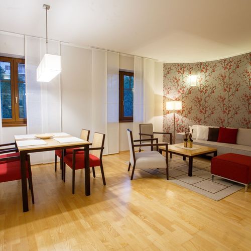 Apartament deluxe cu balcon cu 1 camera pentru 2 pers. (se poate solicita pat suplimentar)