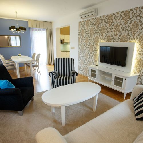 Apartament deluxe art cu 1 camera pentru 2 pers. (se poate solicita pat suplimentar)