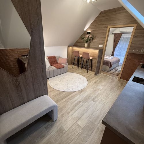 Apartament 2-osobowy Wielki Deluxe z 1 pomieszczeniem sypialnianym