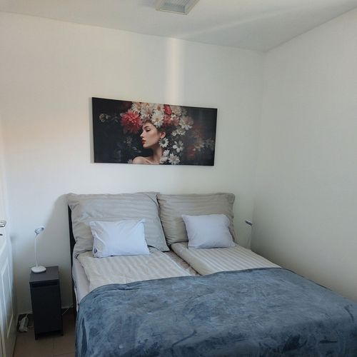 Apartament classic la parter pentru 5 pers. (se inchirieaza doar integral)