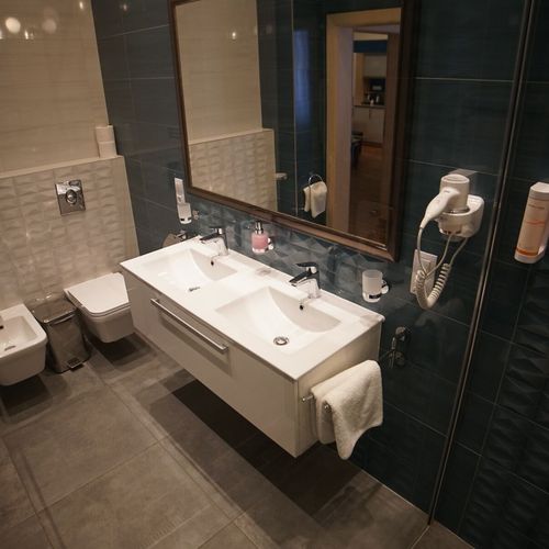 Apartament deluxe cu 1 camera pentru 2 pers. (se poate solicita pat suplimentar)
