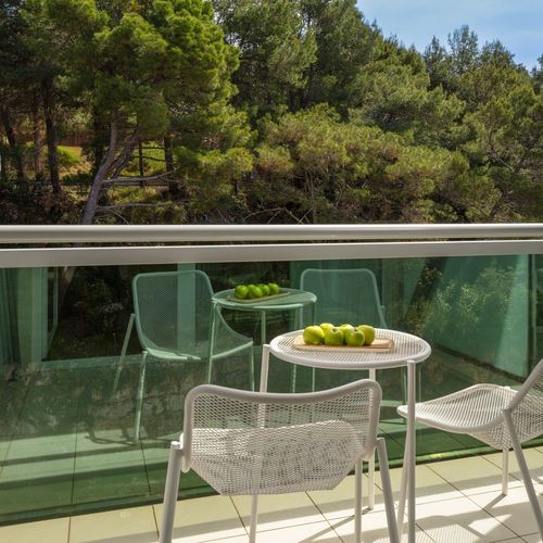 Camera dubla standard Plus cu balcon