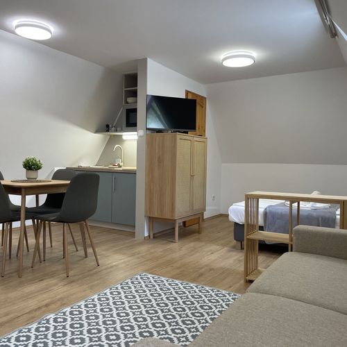 Apartament cu aer condiționat cu 1 camera pentru 2 pers. (se poate solicita pat suplimentar)