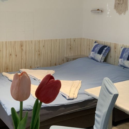 Apartament 2-osobowy z klimatyzacją with private bathroom