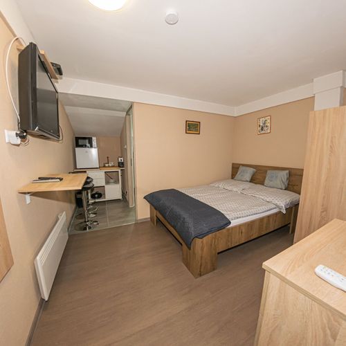 Apartman with private bathroom s manželskou postelí s 1 ložnicí s výhledem na hory