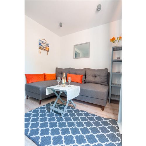 Apartament 3-osobowy z 1 pomieszczeniem sypialnianym