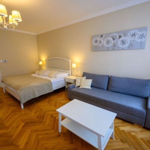 Apartament cu 1 camera pentru 2 pers. (se poate solicita pat suplimentar)